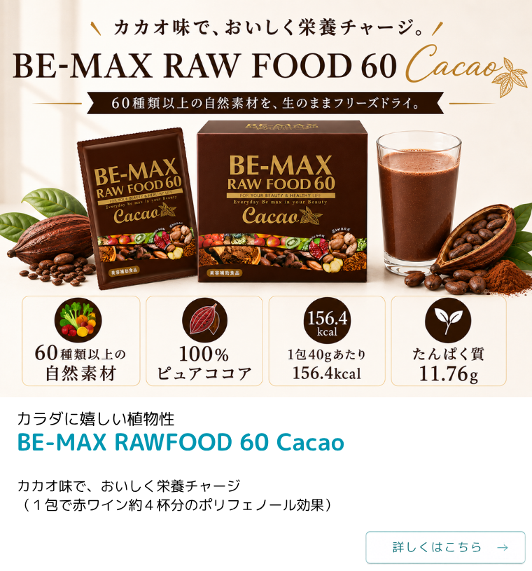 BE-MAX RAWFOOD60 cacao（ビーマックス ローフード60カカオ） 40ｇ×15包入