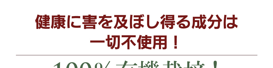 Long Life the 田三七人参