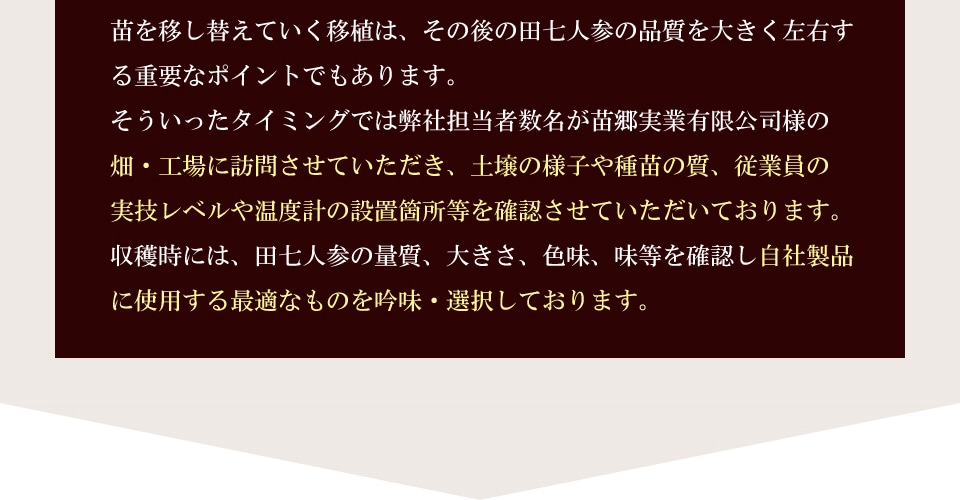 Long Life the 田三七人参