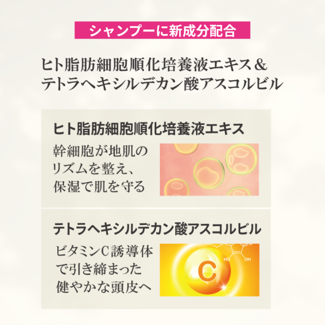 ゴクビプロ説明画像13