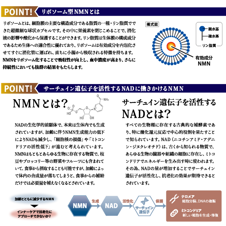 the Liposome NMN 12500 5-ALA+説明画像3